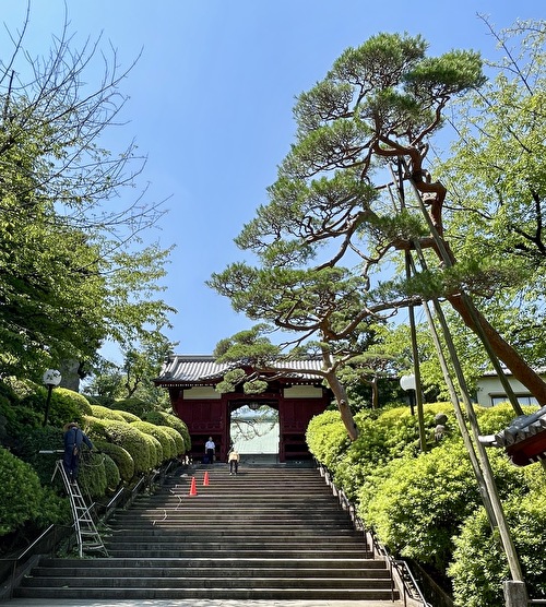 護国寺ｘちいかわ ご朱印イベント 